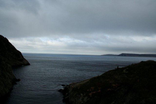 nfld2011_20110527_157.jpg